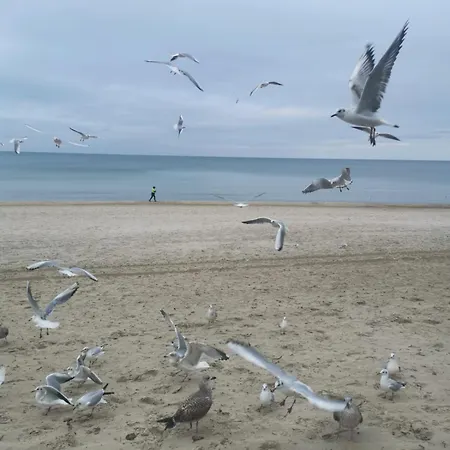 Apartment Diva Prywatny Przy Morzu Kolberg