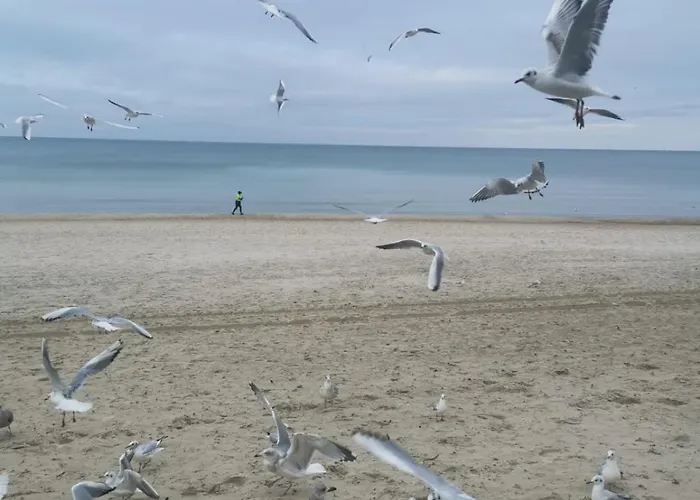 Apartment Diva Prywatny Przy Morzu Kolberg