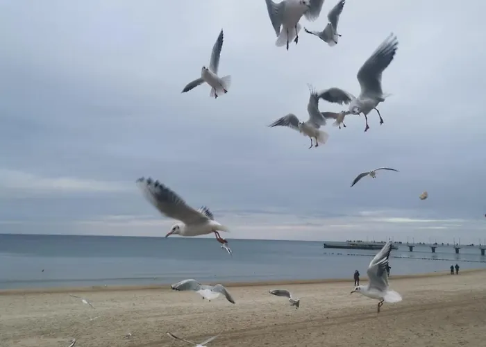 Apartment Diva Prywatny Przy Morzu Kolberg