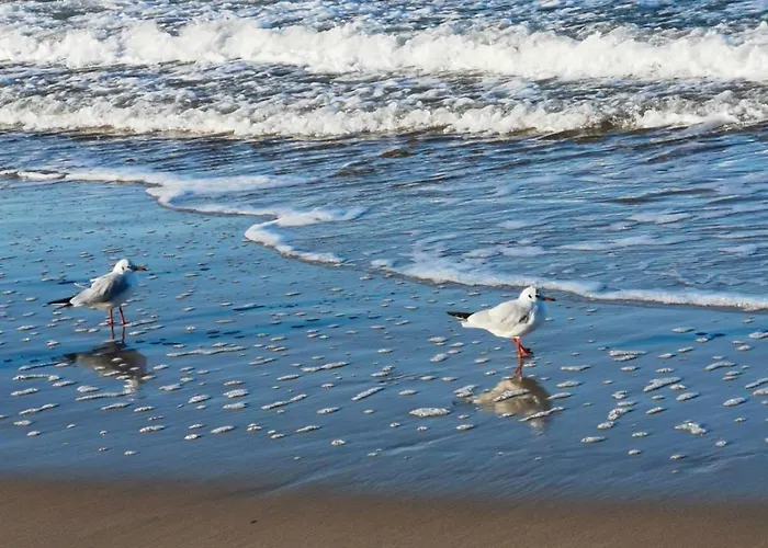 Diva Prywatny Przy Morzu Apartment